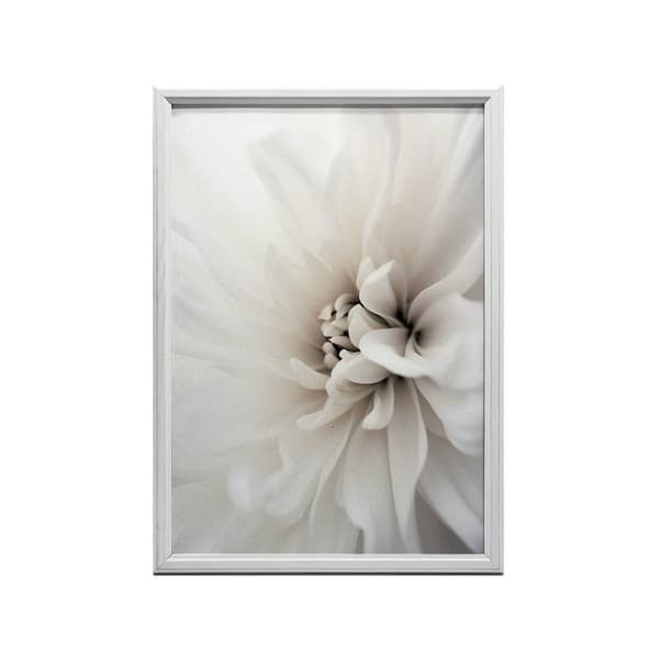 Delicate White Dahlia Delicate White Dahlia, 30x40 cm, mörkbrun träram, 230 gsm matt papper