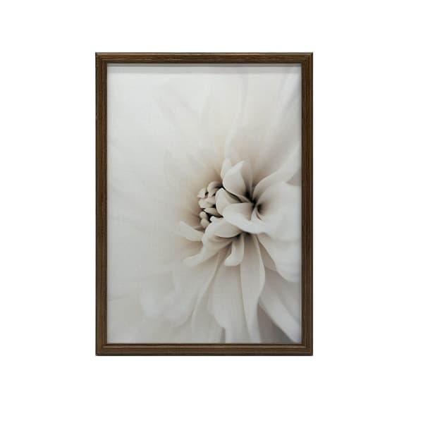 Delicate White Dahlia Delicate White Dahlia, 30x40 cm, mörkbrun träram, 230 gsm matt papper