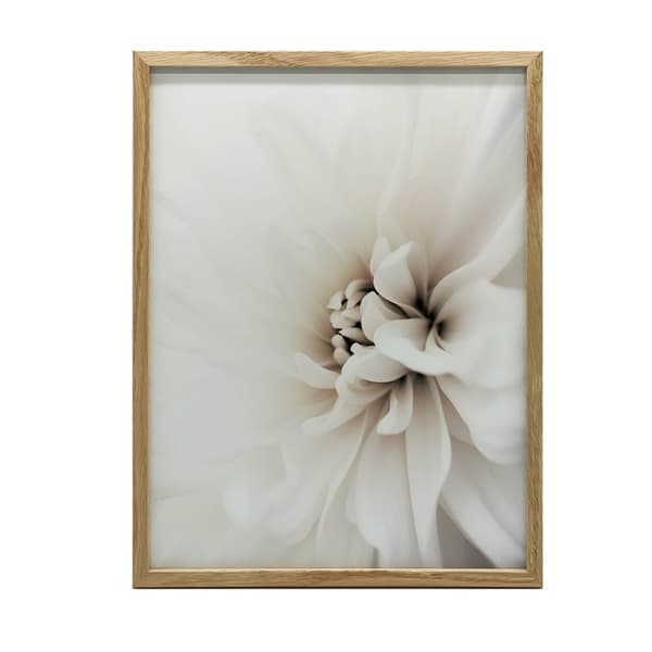 Delicate White Dahlia Delicate White Dahlia, 30x40 cm, mörkbrun träram, 230 gsm matt papper