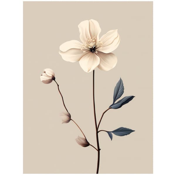 White Anemone - Minimalist Beauty White Anemone - Minimalist Beauty, 70x100 cm, mørkebrun træramme, 230 gsm mat papir