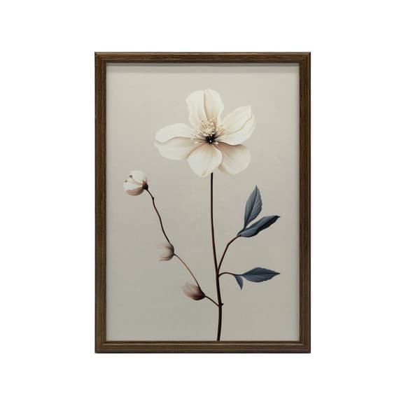 White Anemone - Minimalist Beauty White Anemone - Minimalist Beauty, 70x100 cm, mørkebrun træramme, 230 gsm mat papir
