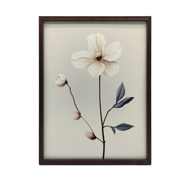 White Anemone - Minimalist Beauty White Anemone - Minimalist Beauty, 70x100 cm, mørkebrun træramme, 230 gsm mat papir