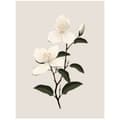Miniatyrbillede 3 af 10: Jasmine Branch Jasmine Branch, 70x100 cm, uindrammet, 230 gsm mat papir