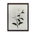 Miniatyrbillede 2 af 10: Jasmine Branch Jasmine Branch, 70x100 cm, uindrammet, 230 gsm mat papir