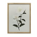 Miniatyrbillede 1 af 10: Jasmine Branch Jasmine Branch, 70x100 cm, uindrammet, 230 gsm mat papir