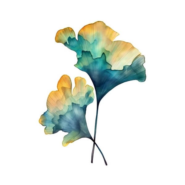 Ginkgo Leaves Ginkgo Leaves, 50x70 cm, uindrammet, premium lærred på båreramme