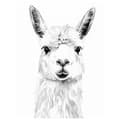 Miniatyrbillede 3 af 10: Subtle Lama Subtle Lama, 50x70 cm, guld aluminiumsramme, 230 gsm mat papir