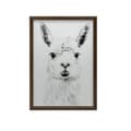 Miniatyrbillede 8 af 10: Subtle Lama Subtle Lama, 50x70 cm, guld aluminiumsramme, 230 gsm mat papir