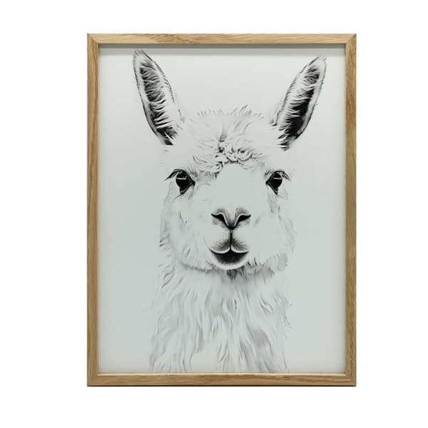 Subtle Lama Subtle Lama, 50x70 cm, guld aluminiumsramme, 230 gsm mat papir