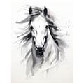 Pikkukuva 3 / 10: Subtle Elegance of the Horse Subtle Elegance of the Horse, 30x40 cm, musta alumiinirunko, 230 gsm mattapaperi