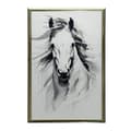 Pikkukuva 9 / 10: Subtle Elegance of the Horse Subtle Elegance of the Horse, 30x40 cm, musta alumiinirunko, 230 gsm mattapaperi