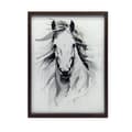 Pikkukuva 2 / 10: Subtle Elegance of the Horse Subtle Elegance of the Horse, 30x40 cm, musta alumiinirunko, 230 gsm mattapaperi