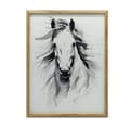 Pikkukuva 1 / 10: Subtle Elegance of the Horse Subtle Elegance of the Horse, 30x40 cm, musta alumiinirunko, 230 gsm mattapaperi