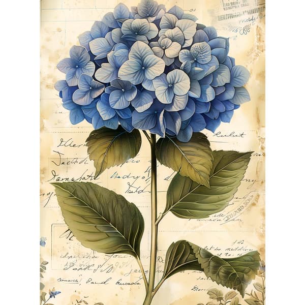 Vintage Hortensia Vintage Hortensia, 50x70 cm, kehystämätön, 230 gsm mattapaperi
