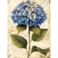 Pikkukuva 3 / 10: Vintage Hortensia Vintage Hortensia, 30x40 cm, vaalea tammipuurunko, 230 gsm mattapaperi