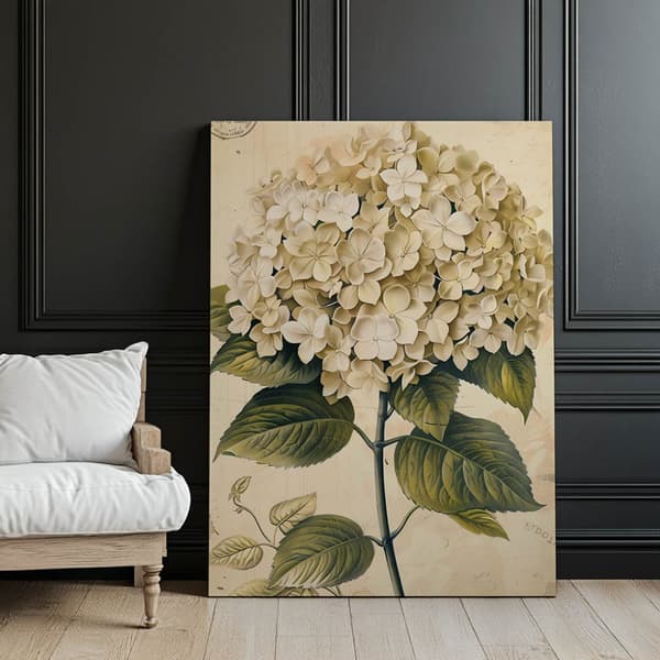 Classic Hortensia Classic Hortensia, 30x40 cm, hvid træramme, 230 gsm mat papir