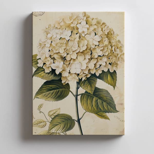 Classic Hortensia Classic Hortensia, 70x100 cm, sort aluminiumsramme, 230 gsm mat papir