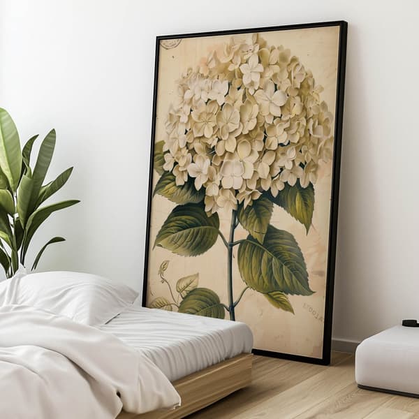 Classic Hortensia Classic Hortensia, 70x100 cm, sort aluminiumsramme, 230 gsm mat papir