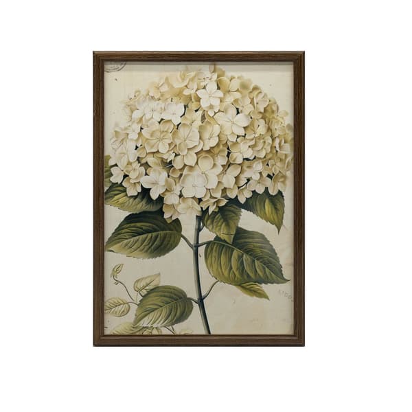 Classic Hortensia Classic Hortensia, 70x100 cm, sort aluminiumsramme, 230 gsm mat papir