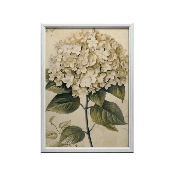 Classic Hortensia Classic Hortensia, 70x100 cm, sort aluminiumsramme, 230 gsm mat papir