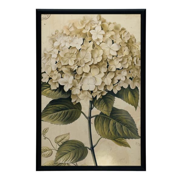 Classic Hortensia Classic Hortensia, 70x100 cm, sort aluminiumsramme, 230 gsm mat papir