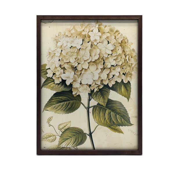 Classic Hortensia Classic Hortensia, 70x100 cm, sort aluminiumsramme, 230 gsm mat papir