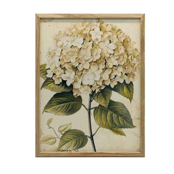 Classic Hortensia Classic Hortensia, 70x100 cm, sort aluminiumsramme, 230 gsm mat papir