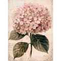 Miniatyrbild 3 av 10: Härlig illustration av hortensia Härlig illustration av hortensia, 30x40 cm, oinramad, 230 gsm matt papper