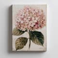 Miniatyrbild 4 av 10: Härlig illustration av hortensia Härlig illustration av hortensia, 30x40 cm, oinramad, 230 gsm matt papper