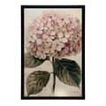 Miniatyrbild 10 av 10: Härlig illustration av hortensia Härlig illustration av hortensia, 30x40 cm, oinramad, 230 gsm matt papper