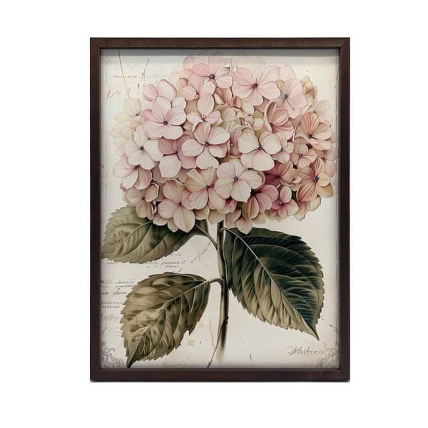 Dejlig illustration af hortensia Dejlig illustration af hortensia, 40x50 cm, sort aluminiumsramme, 230 gsm mat papir