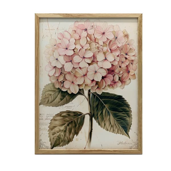 Härlig illustration av hortensia Härlig illustration av hortensia, 70x100 cm, oinramad, premiumduk på bårram