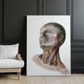 Miniatyrbillede 10 af 11: Nakkemuskler - Anatomisk plakat Nakkemuskler - Anatomisk plakat, 70x100 cm, uindrammet, 230 gsm mat papir