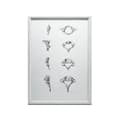 Miniatyrbillede 7 af 11: Anatomy of the Cervical Vertebrae - Anatomisk plakat Anatomy of the Cervical Vertebrae - Anatomisk plakat, 30x40 cm, uindrammet, 230 gsm mat papir