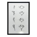 Miniatyrbillede 8 af 11: Anatomy of the Cervical Vertebrae - Anatomisk plakat Anatomy of the Cervical Vertebrae - Anatomisk plakat, 30x40 cm, uindrammet, 230 gsm mat papir