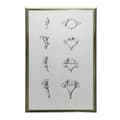 Miniatyrbillede 9 af 11: Anatomy of the Cervical Vertebrae - Anatomisk plakat Anatomy of the Cervical Vertebrae - Anatomisk plakat, 30x40 cm, uindrammet, 230 gsm mat papir