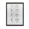Miniatyrbillede 2 af 11: Anatomy of the Cervical Vertebrae - Anatomisk plakat Anatomy of the Cervical Vertebrae - Anatomisk plakat, 30x40 cm, uindrammet, 230 gsm mat papir
