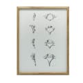 Miniatyrbillede 1 af 11: Anatomy of the Cervical Vertebrae - Anatomisk plakat Anatomy of the Cervical Vertebrae - Anatomisk plakat, 30x40 cm, uindrammet, 230 gsm mat papir