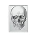 Miniatyrbild 6 av 11: Dödskalle (framtill) - Anatomisk affisch Dödskalle (framtill) - Anatomisk affisch, 30x40 cm, guldram i aluminium, 230 gsm matt papper