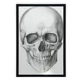 Miniatyrbild 9 av 11: Dödskalle (framtill) - Anatomisk affisch Dödskalle (framtill) - Anatomisk affisch, 30x40 cm, guldram i aluminium, 230 gsm matt papper