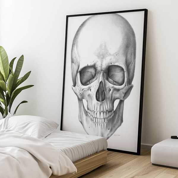 Skull (framtill) - Anatomisk affisch Skull (framtill) - Anatomisk affisch, 70x100 cm, oinramad, 230 gsm matt papper