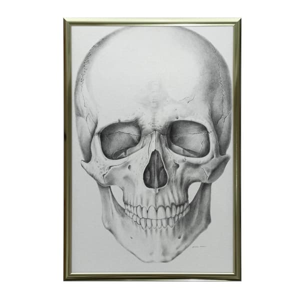 Skull (framtill) - Anatomisk affisch Skull (framtill) - Anatomisk affisch, 70x100 cm, oinramad, 230 gsm matt papper