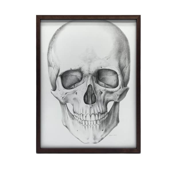 Skull (framtill) - Anatomisk affisch Skull (framtill) - Anatomisk affisch, 70x100 cm, oinramad, 230 gsm matt papper