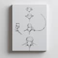 Miniatyrbild 4 av 11: Rygg i detalj: Anatomy C6, C7, Th5 och L4 - Anatomisk affisch Rygg i detalj: Anatomy C6, C7, Th5 och L4 - Anatomisk affisch, 30x40 cm, oinramad, premi