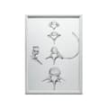 Miniatyrbild 10 av 11: Rygg i detalj: Anatomy C6, C7, Th5 och L4 - Anatomisk affisch Rygg i detalj: Anatomy C6, C7, Th5 och L4 - Anatomisk affisch, 30x40 cm, oinramad, premi