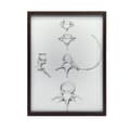 Miniatyrbild 2 av 11: Rygg i detalj: Anatomy C6, C7, Th5 och L4 - Anatomisk affisch Rygg i detalj: Anatomy C6, C7, Th5 och L4 - Anatomisk affisch, 30x40 cm, oinramad, premi