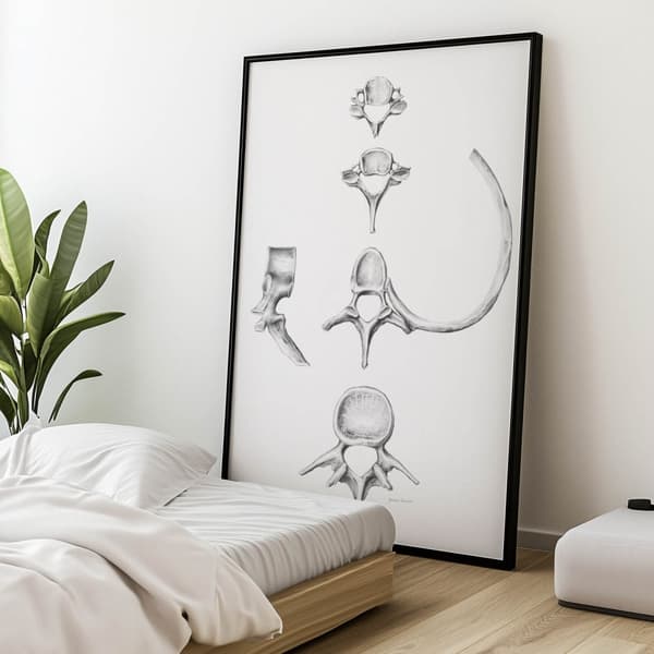 Ryg i detaljer: Anatomy C6, C7, Th5 og L4 - Anatomisk plakat Rygsøjle i detaljer: Anatomy C6, C7, Th5 og L4 - Anatomisk plakat, 70x100 cm, mørkebrun t