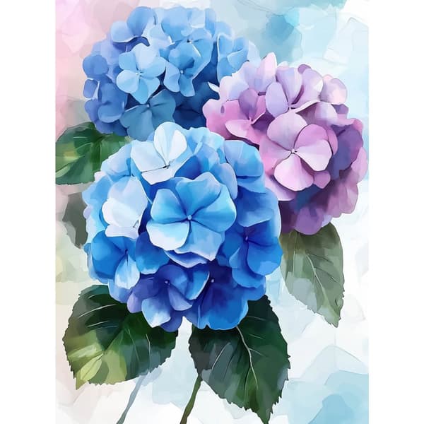 Hortensiablommor i pastellfärger Hortensiablommor i pastellfärger, 30x40 cm, vit träram, 230 gsm matt papper