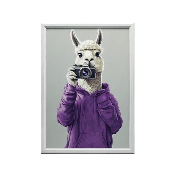 Plakat Lama i lilla hættetrøje med kamera Plakat Lama i lilla hættetrøje med kamera, 70x100 cm, mørkebrun træramme, 230 gsm mat papir