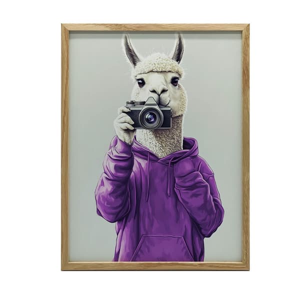 Plakat Lama i lilla hættetrøje med kamera Plakat Lama i lilla hættetrøje med kamera, 70x100 cm, mørkebrun træramme, 230 gsm mat papir